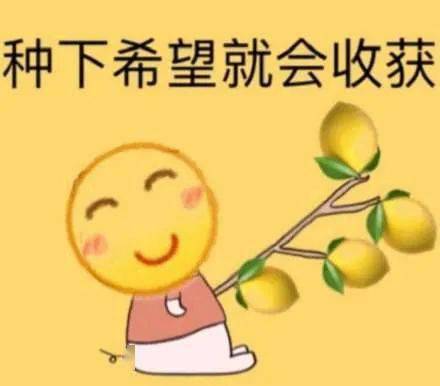 b8834a4837a24b689ea5c5a26a2e5fbd.jpeg