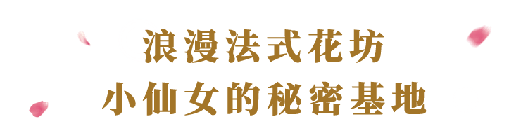 兰蔻法式花坊空降万象城！上万朵进口玫瑰惊艳全城！