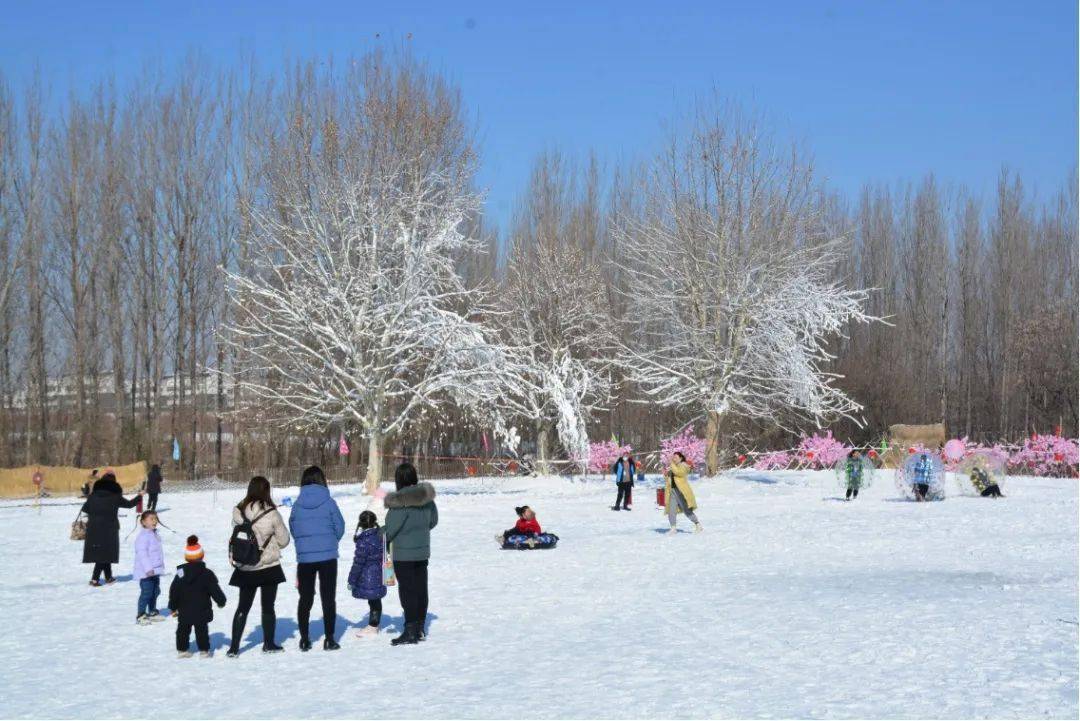 什么叫做桃花雪 fed7f8a9712d43f1939851d914c0797f.jpeg