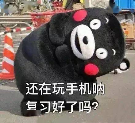 那可是万万不可取的最后的最后祝愿大家 考的都会 蒙的全对期末冲鸭!