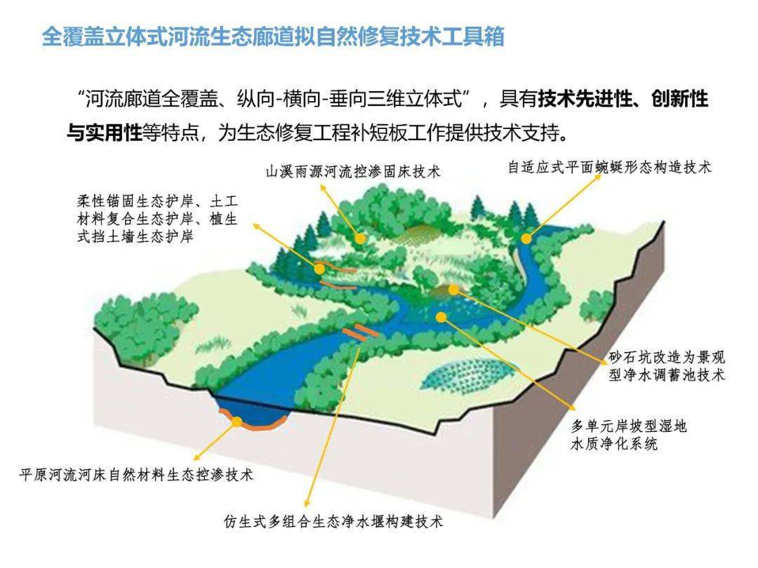 【专家视角】赵进勇:河流生态廊道全覆盖立体式拟自然修复技术工具箱