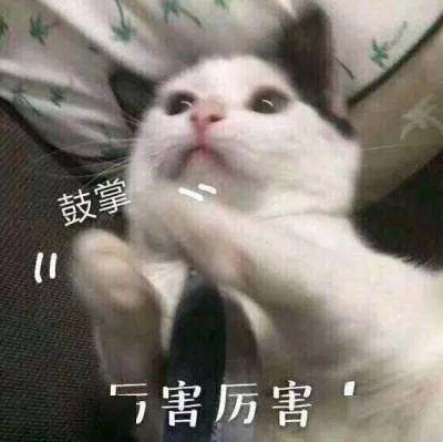 d57c2521afbe44d5b612048356fcb9f6.jpeg