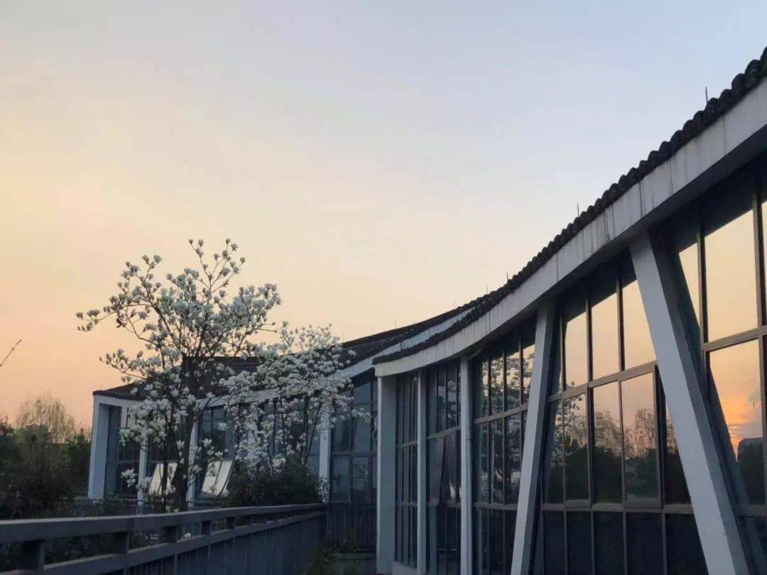 小绍兴人均_绍兴小师爷图片(3)