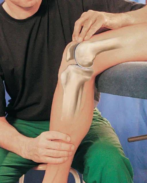 干货分享,如何准确定位膝关节?