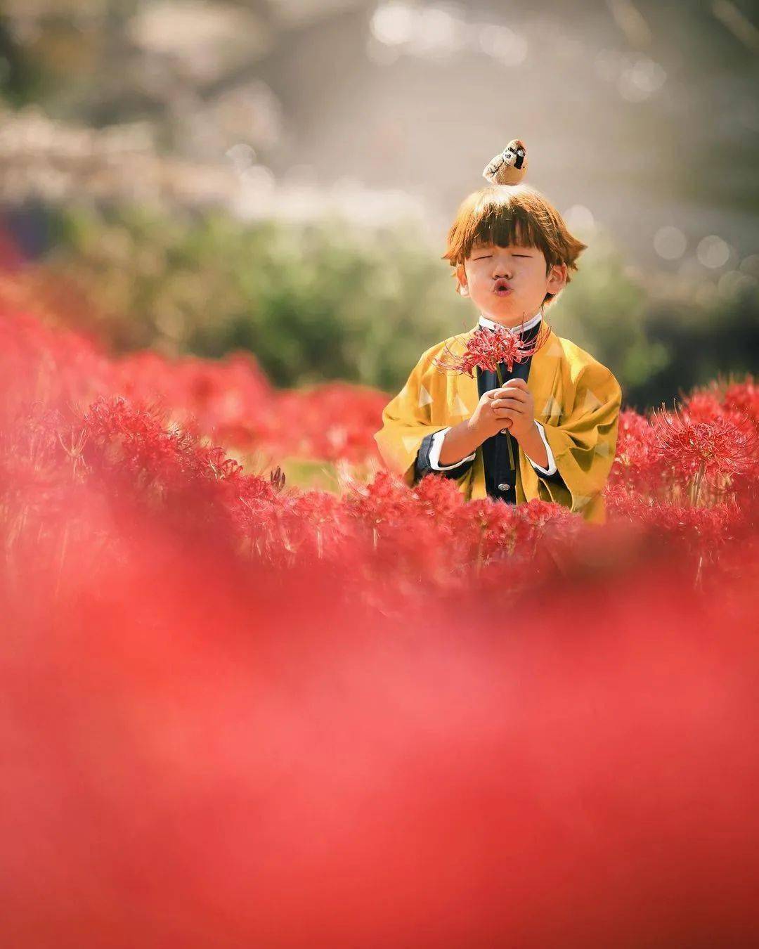 在这后面,她还悄悄的补了一句,