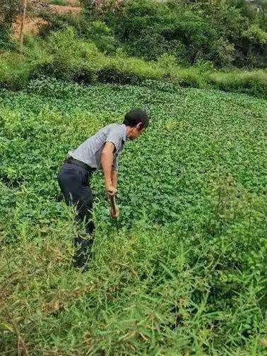 赣县储谭人口_赣县储潭中学老师照片