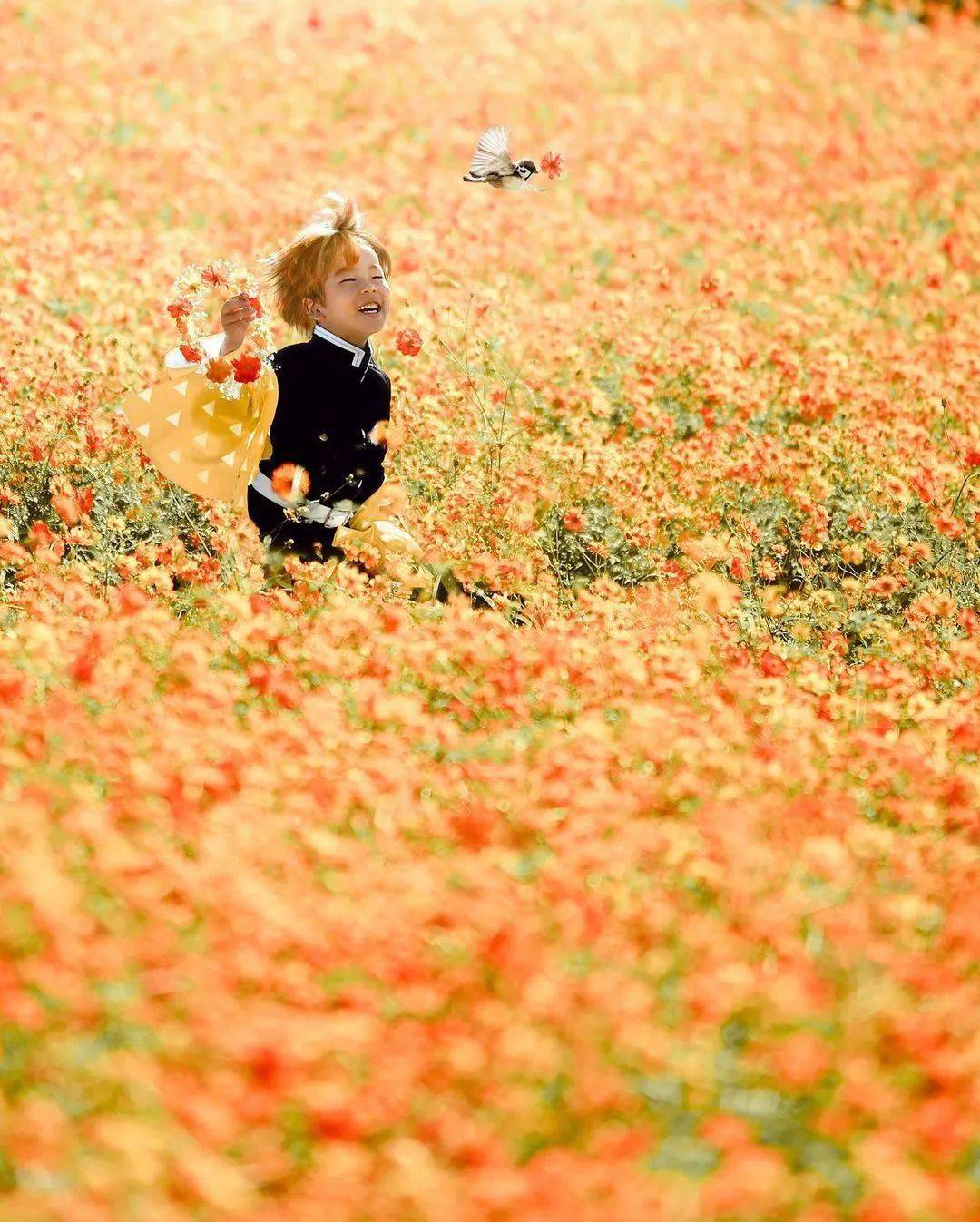 在这后面,她还悄悄的补了一句,