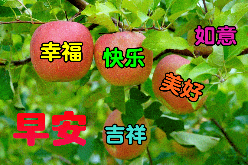 最新版非常漂亮的早上好表情图片 温馨早安心语语录