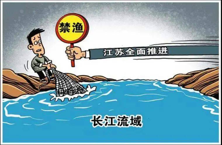 十年"长江禁渔",全面启动!