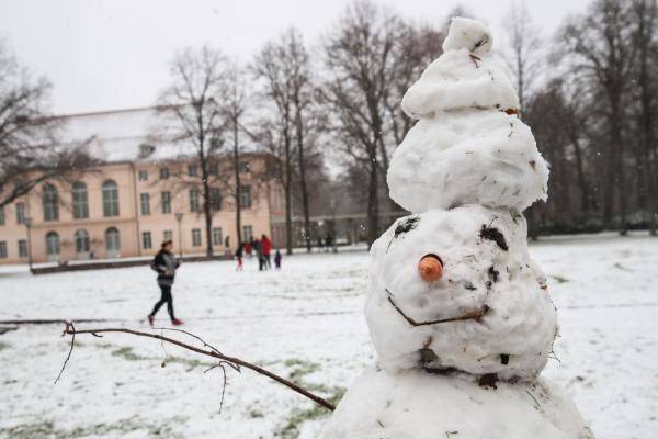 柏林：新年初雪