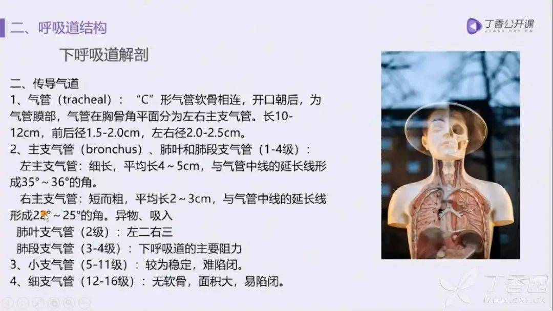肺的五叶十八段解剖基础及 ct 病灶识别要点