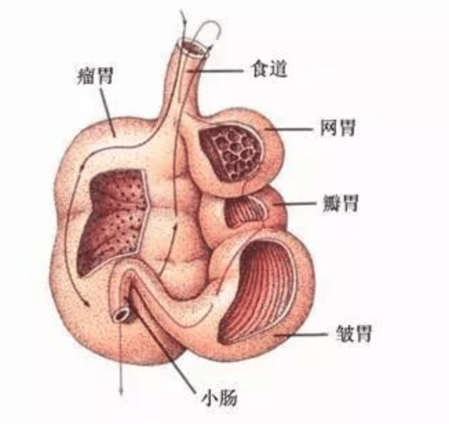 排放|英国企业研发“牛用减排口罩”减少碳排放 “小题大做”还是确有必要？