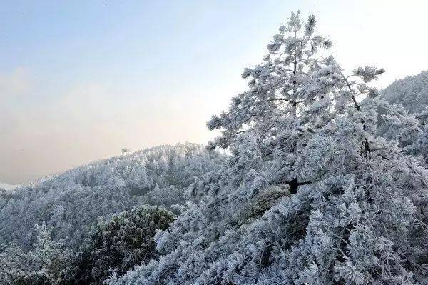 户外纯玩带你一起登上九仙山之巅看冬日的雾凇云海奇观一日游