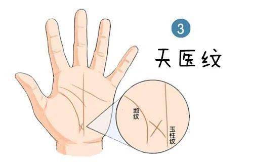 手相掌纹看工作