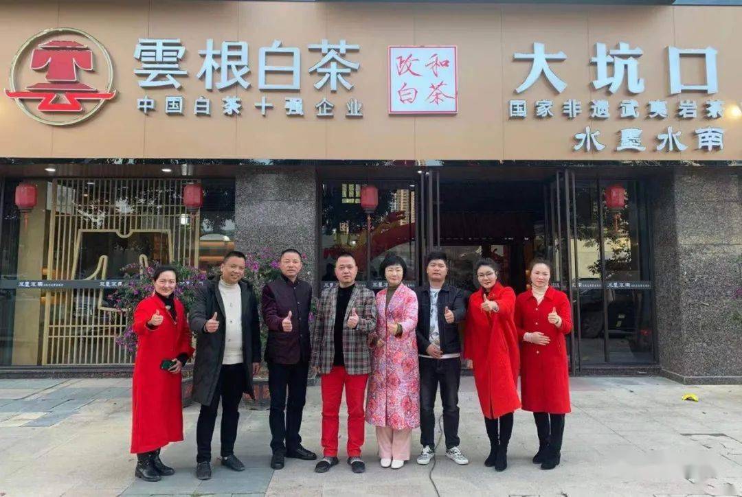 云根白茶莆田3店牛头齐发政和白茶耕耘莆仙大地