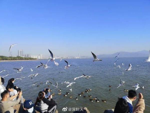 “速冻+降雨”双暴击！深圳将迎来“过山车”式降温