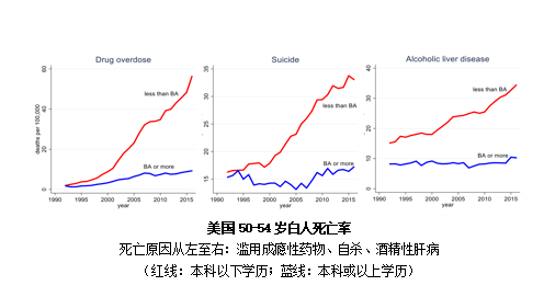 1945年美国人口构成_美国人口构成图(3)