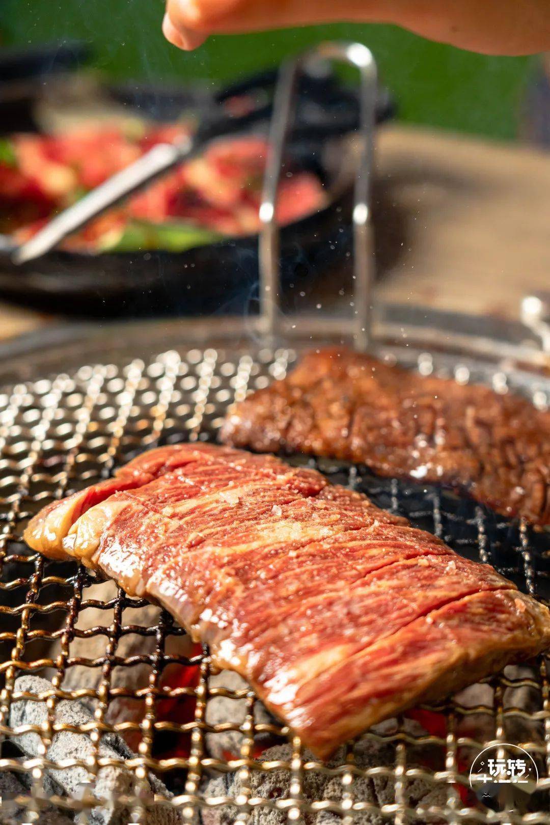 人均肉食_肉食动物