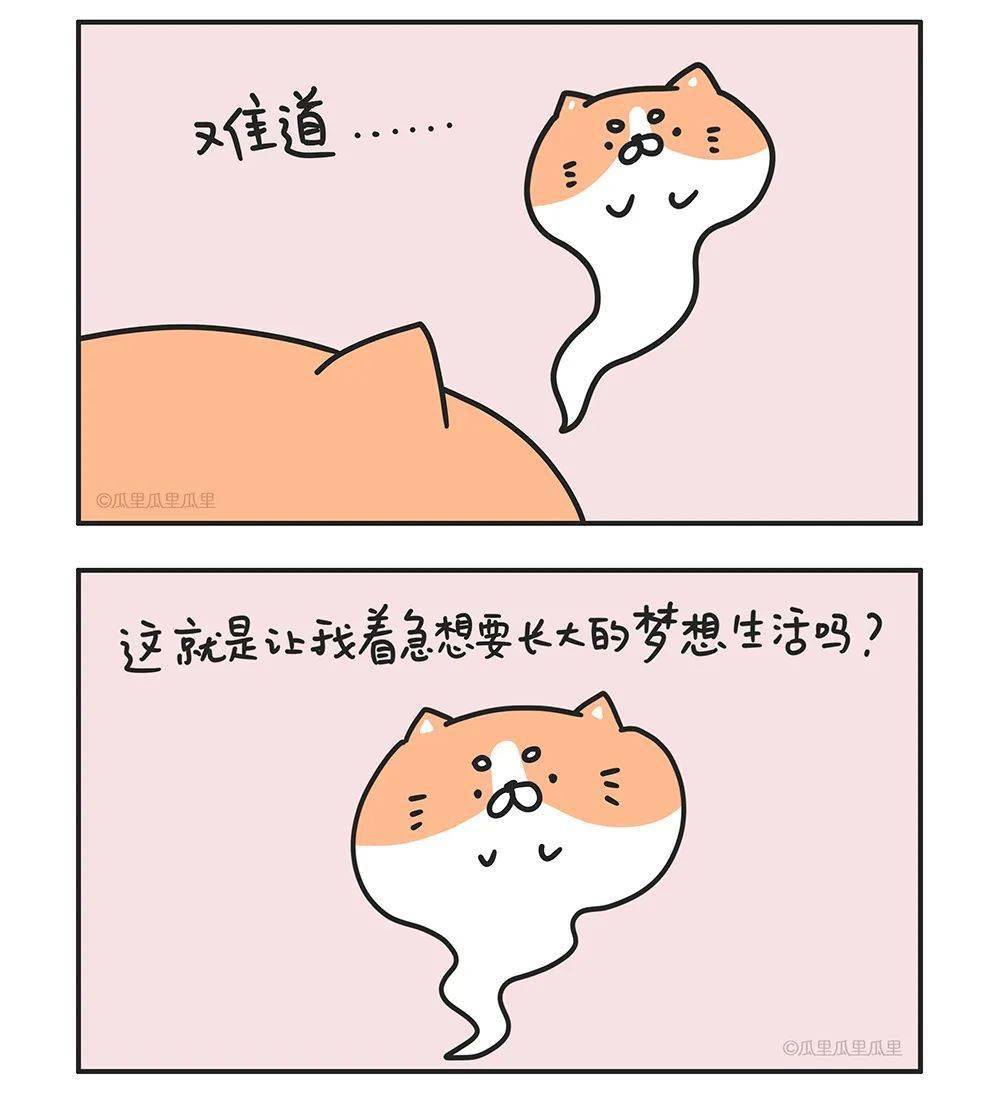 1930aa1354054ab8accbc1892c1c8b51.jpeg