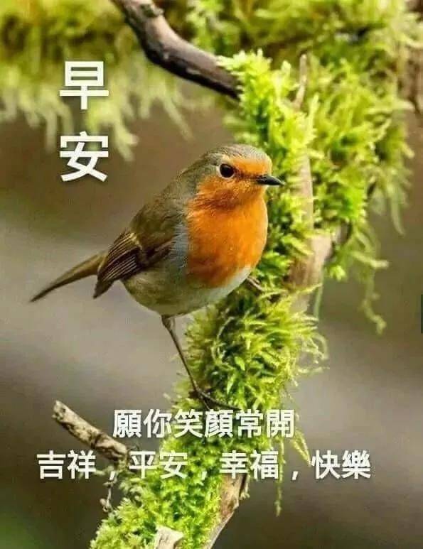 相遇是缘,相识是福.早安