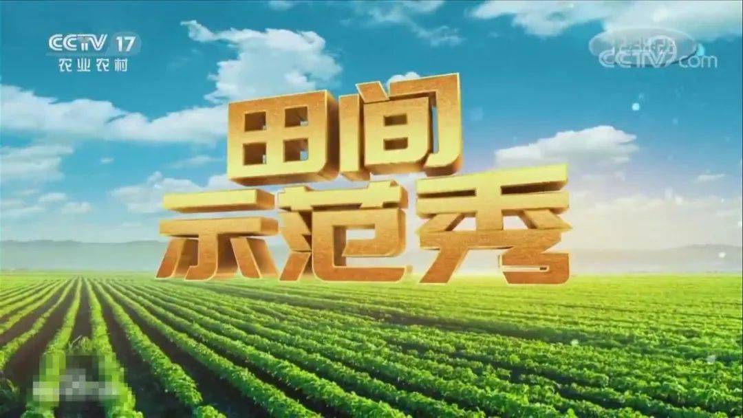 央视都来采访了~_示范