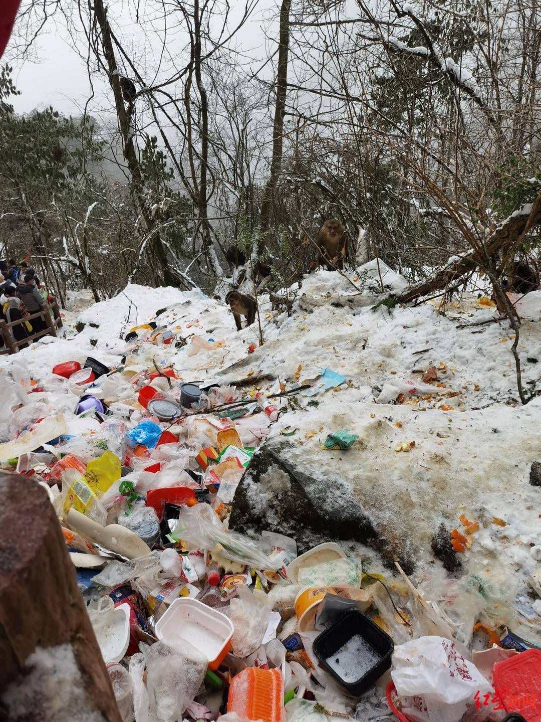 冬季游客蜂拥 彭州九峰山成“垃圾山” 相关部门：系未开发景区，将增加清理频次