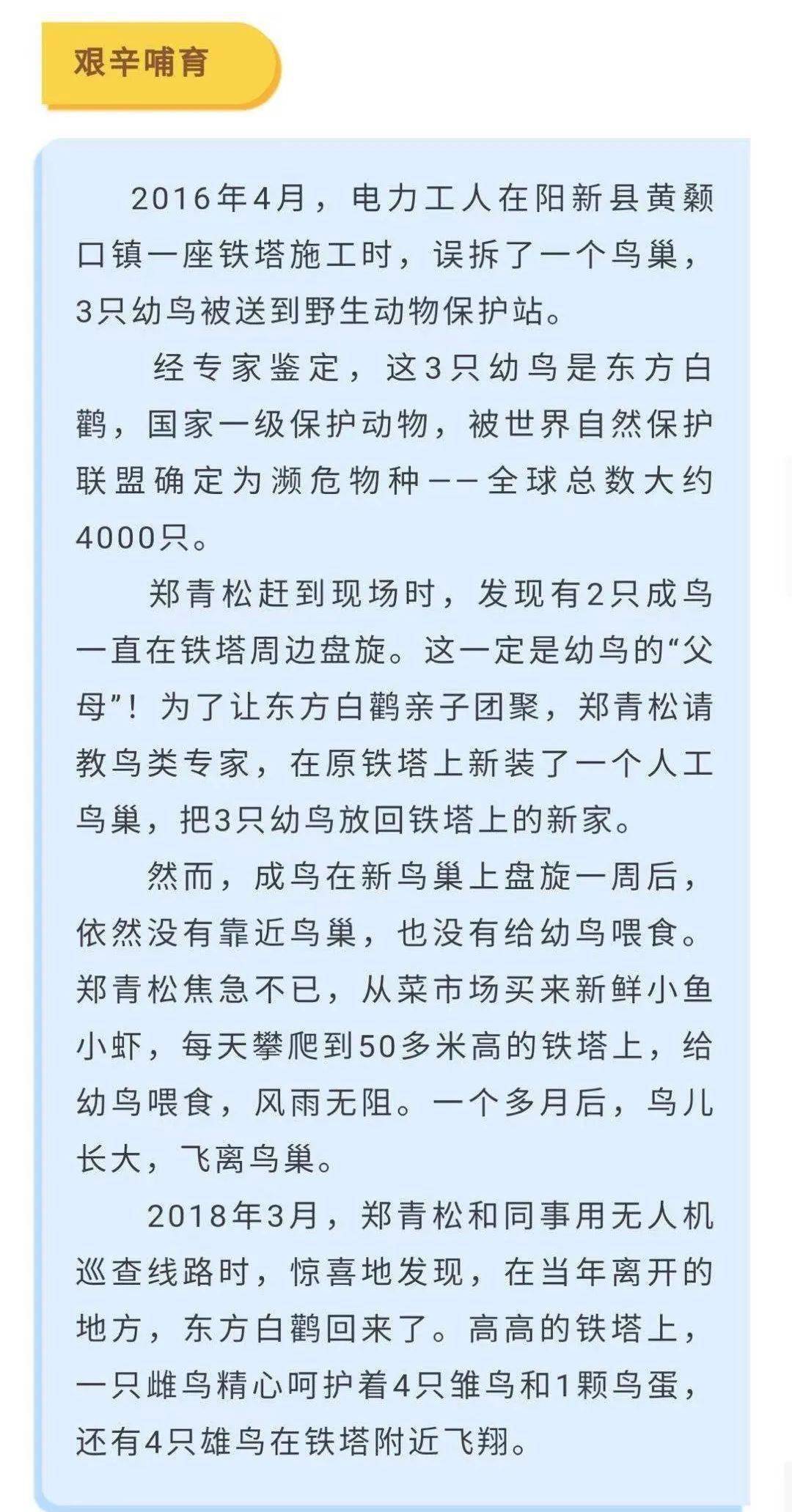 鸟人的简谱_鸟人安德森(3)