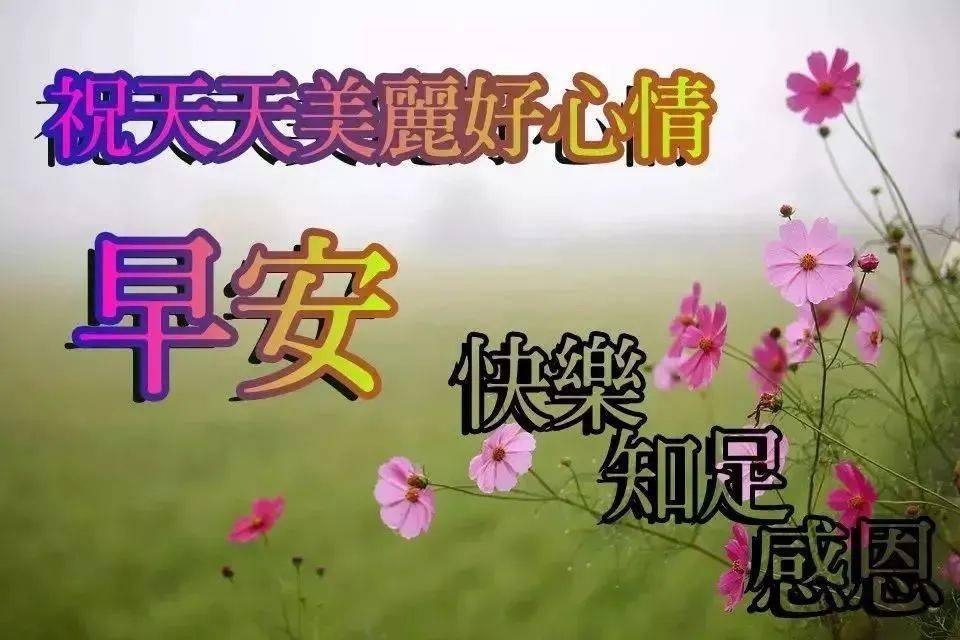 中午好图片2021新图片,2020最新中午好图片 2021新版上午好问候语图片带字,问候大家早上好动态图片