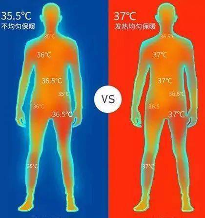 发热内衣的原理_德绒自发热内衣图片