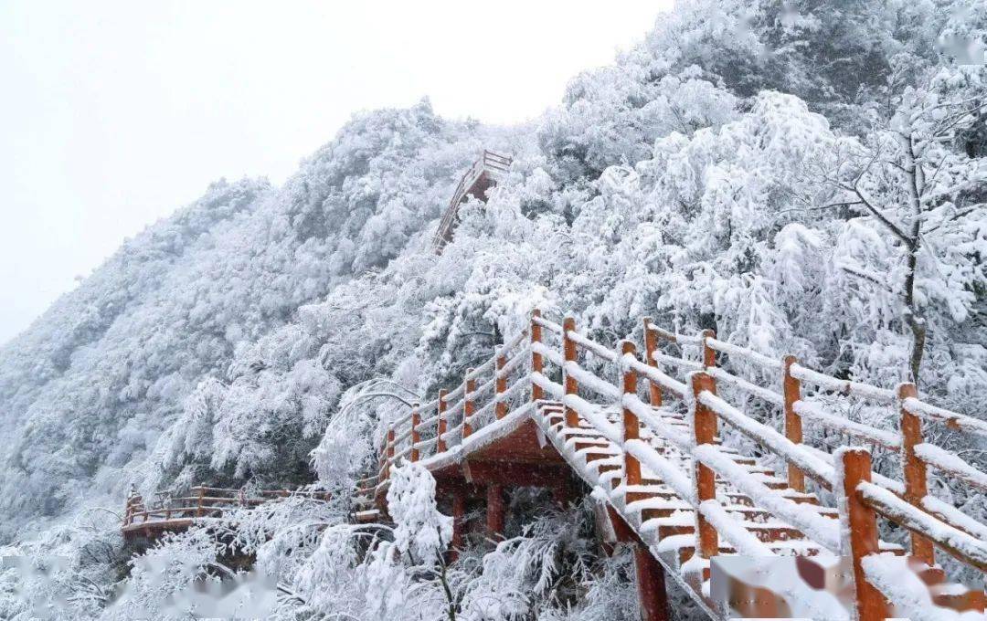 本周这些地方在下雪!随便一个景点都惊艳!