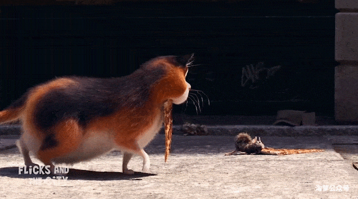 当它回来的时候,它看见一只老鼠在地板上也拖着一块披萨