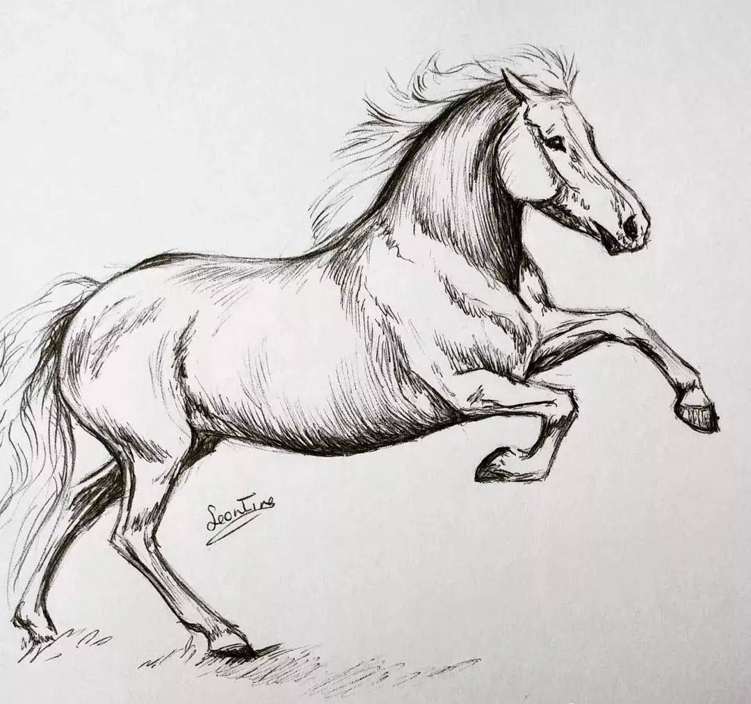 15年只画一匹马,从被父母嫌弃的画渣,变成高攀不起的彩铅大神