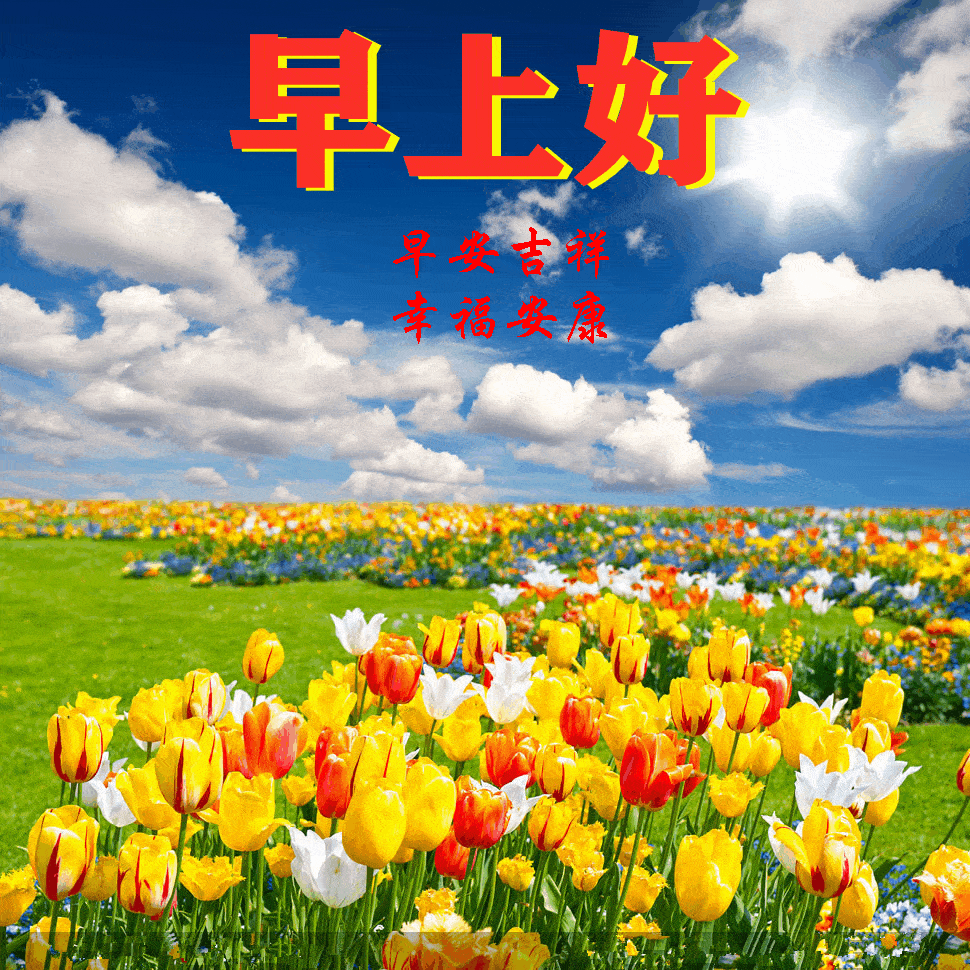 202117星期四《早安心语》∮