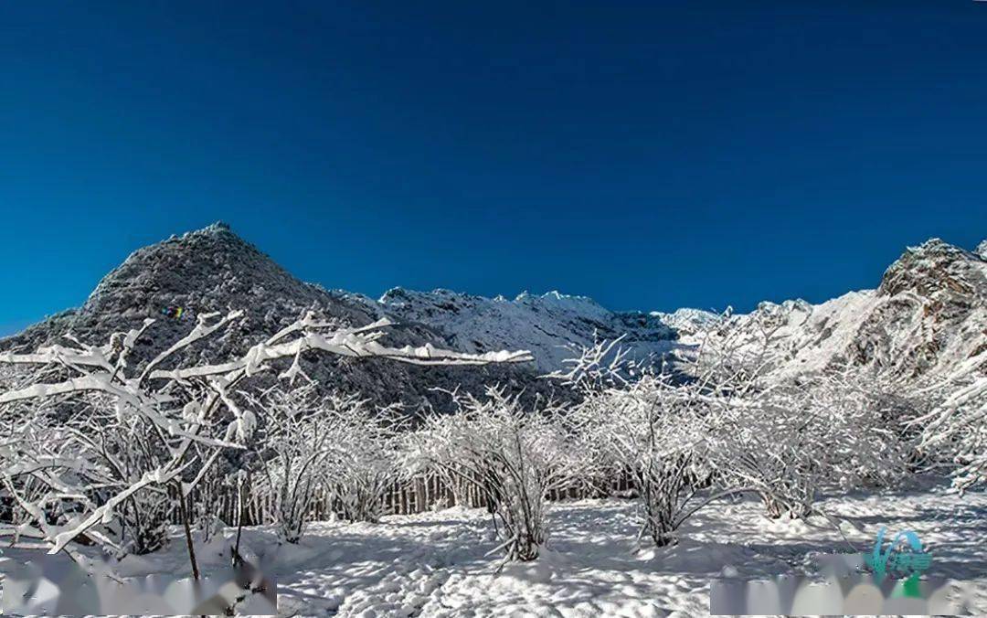 海拔约3900米的达瓦更扎景区,一片银装素裹,宛如冰雪童话世界,雪景美