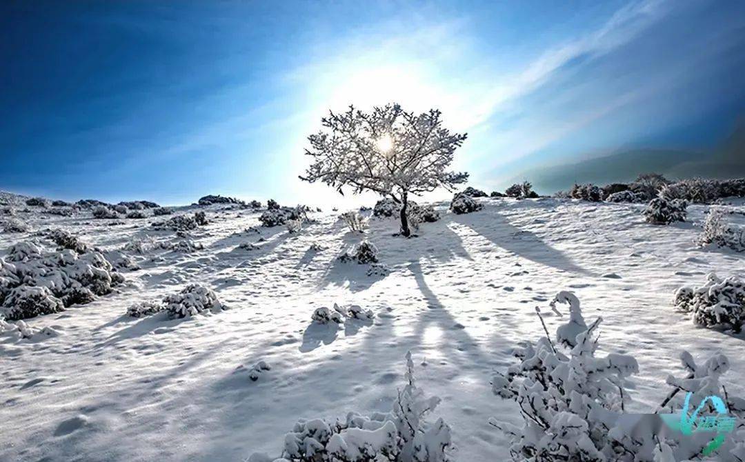 宝兴大雪道路冰封!但雪景真美"银装素裹,冰挂美景 惊艳冬日"