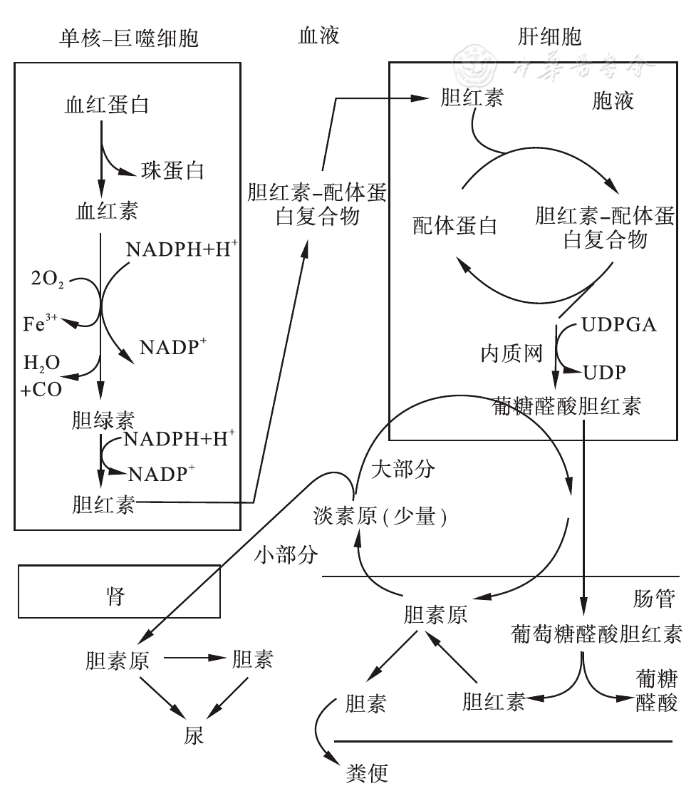 gdp二磷酸尿苷