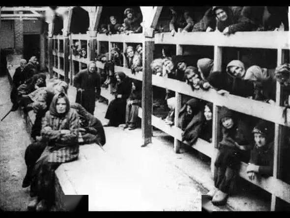 每天都有无数呼啸驶来的大卡车,装进塞满数以千计的犹太人送往集中营