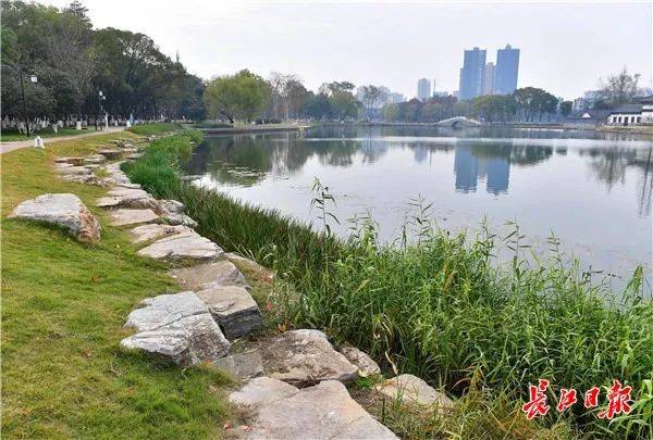 重焕青春！紫阳湖公园“大湖+”改造完成，看看哪里不一样了