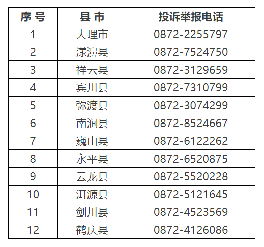大理2021年各县市gdp_2021年相片大理(3)