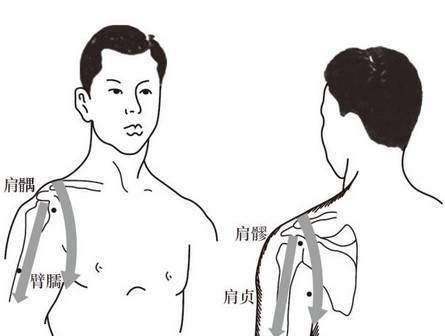 每一条经脉刮拭10～20次为宜,重点刮拭肩髃,肩贞,肩髎和臂臑穴(图1)