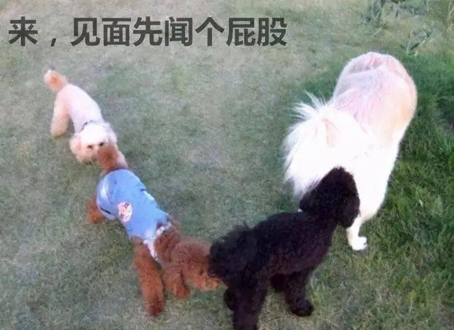 58a8537dc1be40ff80b57d0beff8a1e2.jpeg