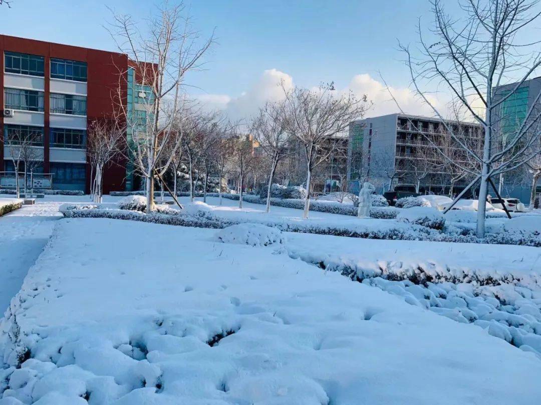 最全!烟台各高校雪景图,快来看看有没有你的学校