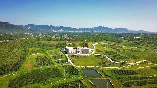文章配图-5