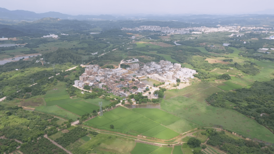 丰顺县大龙华长布村人口_英德市龙华村图片(3)