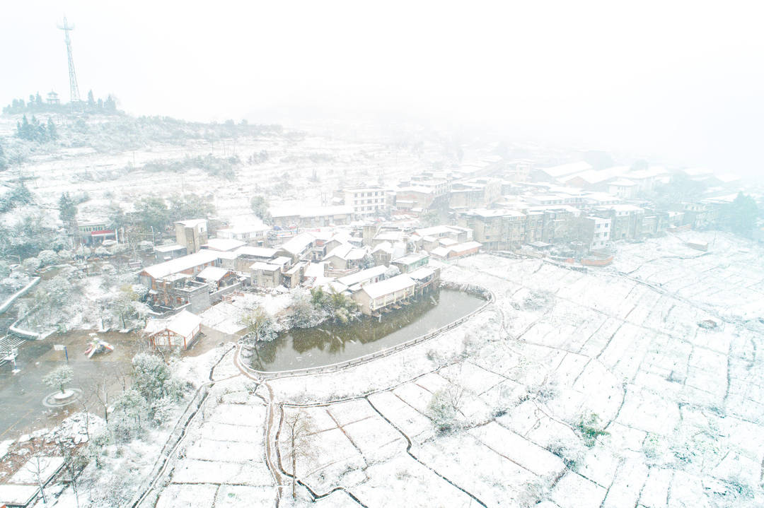 皑皑田园雪未化，周末跟着这份成都乡村玩雪地图去雪地里撒点野