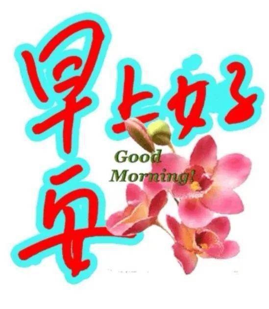 微信漂亮早上好问候语祝福表情图片,最美清晨早上好短信祝福语录