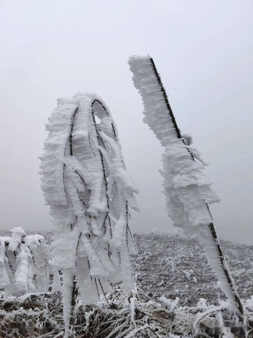 昭通靖安西魁梁子雪景美丽冻人