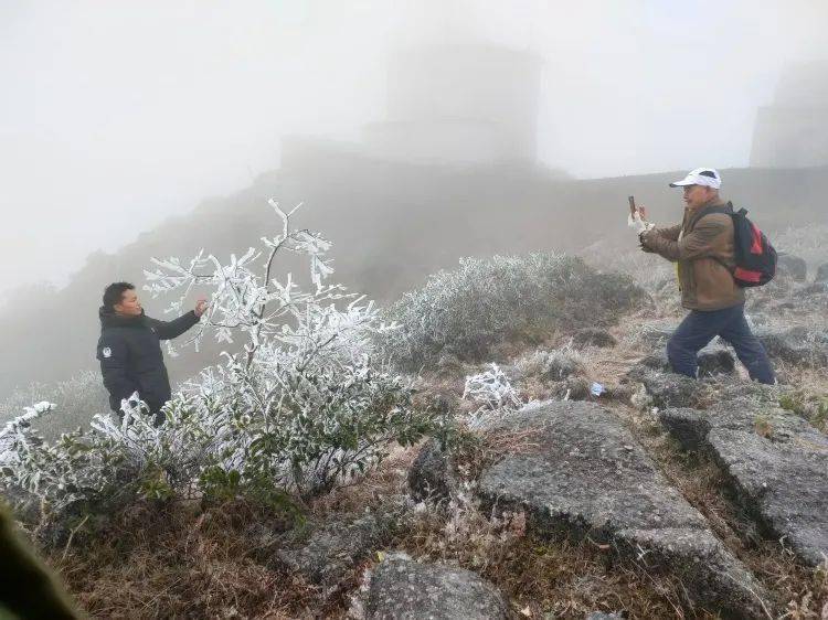 桂平马骊山上的雾凇 黄港 提供图片桂平马骊山上挂冰的小树 黄港 提供