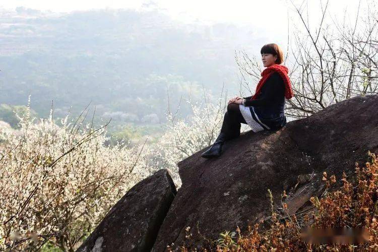 郁南人口有多少_郁南大王山森林公园(2)