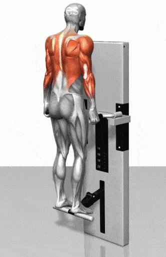1f3e40077391404599f38ca84e9d4494.gif